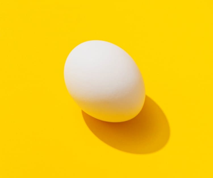 An egg